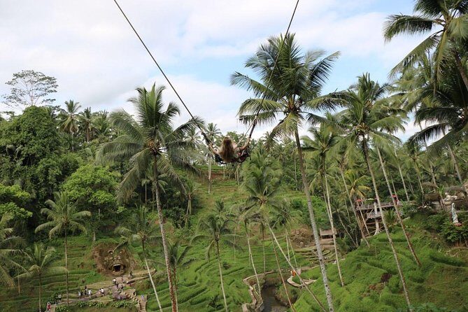Private Ubud Tour Package - Witnessing Balinese Culture in the Barong & Fire Dance