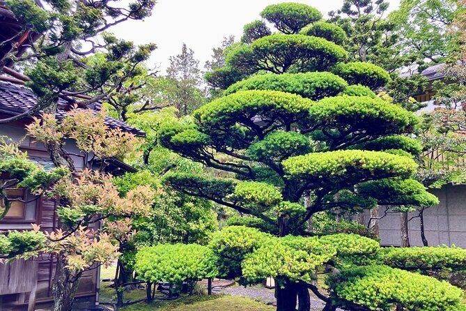 Private walking Tour: A Kanazawa Garden Exploration - Discovering Kanazawa’s Garden Heritage: A Closer Look