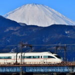 Private Walking Tour of Hakone. Price per group - Who Is This Tour Best Suited For?