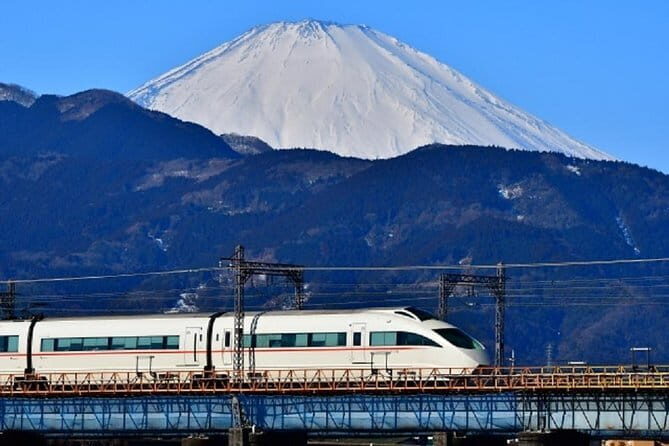 Private Walking Tour of Hakone. Price per group - Who Is This Tour Best Suited For?