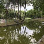 Private Walking Tour of the Shah Alam Lake Gardens with Pick Up and Lunch - The Realities: What Travelers Say