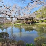 Private World Heritage Gyeongju Taxi Tour - Who Is This Tour Best For?
