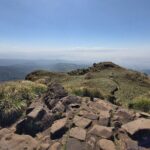 Private Yangmingshan Hiking Day Tour from Taipei - Who Will Love This Tour?