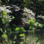 Private Yokohama Family Tours with Local Guides 100% Personalized - Final Thoughts