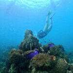 PRO-SNORKELING to Explore Hidden Coral Reefs (MAX 10 PAX) - A Deep Dive into the Snorkeling Tour Experience