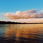 Proboscis Monkey and Fireflies River Cruise - Practical Details and Tips