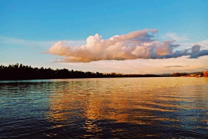 Proboscis Monkey and Fireflies River Cruise - Practical Details and Tips