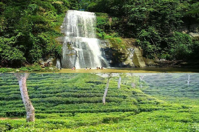 Professional tour guide hire in Sreemangal - Key Points