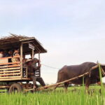Pu Luong: 3-Day Adventure with Trekking, Cycling & Cooking Class - What Makes This Tour Stand Out
