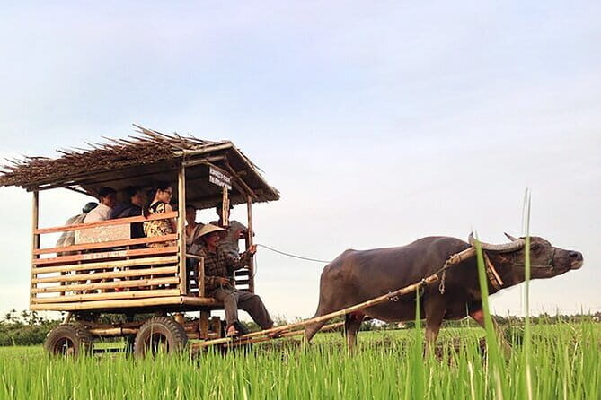 Pu Luong: 3-Day Adventure with Trekking, Cycling & Cooking Class - What Makes This Tour Stand Out