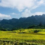 Pu Luong Nature Reserve & Ninh Binh Escape 3 Days Tour From Hanoi - What the Tour Includes and What You Should Consider