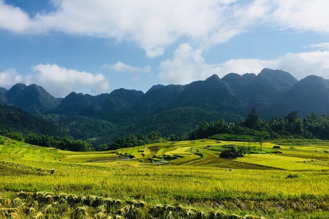 Pu Luong Nature Reserve & Ninh Binh Escape 3 Days Tour From Hanoi - What the Tour Includes and What You Should Consider