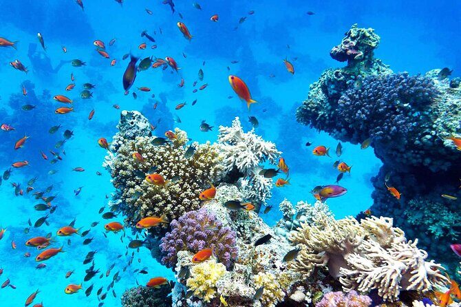 Puerto Galera Island Hopping - FAQs