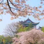 Qingchuan Pavilion Park - Final Thoughts