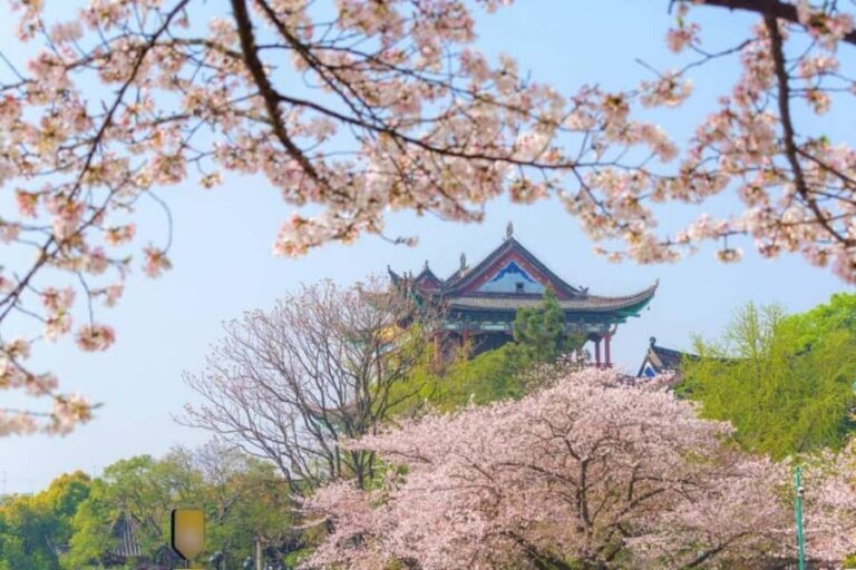 Qingchuan Pavilion Park - Final Thoughts