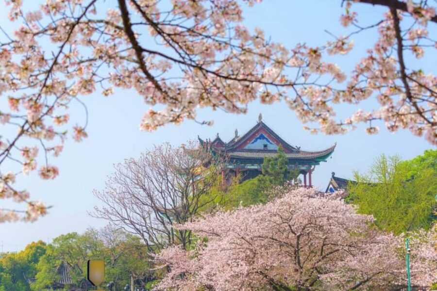 Qingchuan Pavilion Park - Final Thoughts