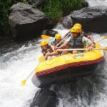 Rafting at Telaga waja River Bali - The Sum Up