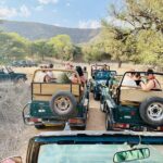 Ranthambore Tiger Reserve Private Gypsy Safari All inclusive - An In-Depth Look at the Ranthambore Private Gypsy Safari