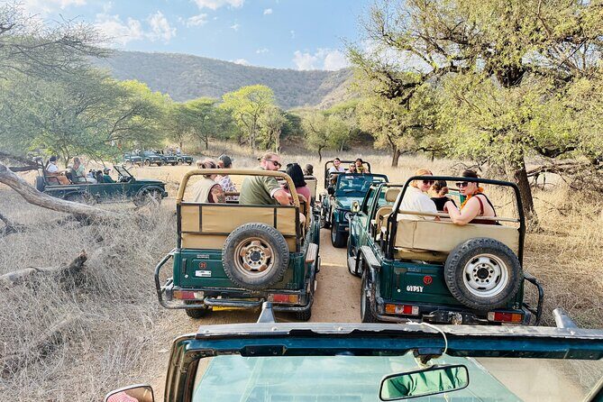 Ranthambore Tiger Reserve Private Gypsy Safari All inclusive - An In-Depth Look at the Ranthambore Private Gypsy Safari