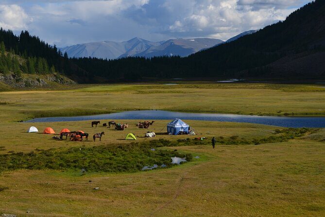 Real Mongolian Adventure! The best highlights of Mongolia - Who Is This Tour Best Suited For?