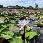 Red Lotus Pond Floating Market and Ayutthaya Historical Park - FAQ