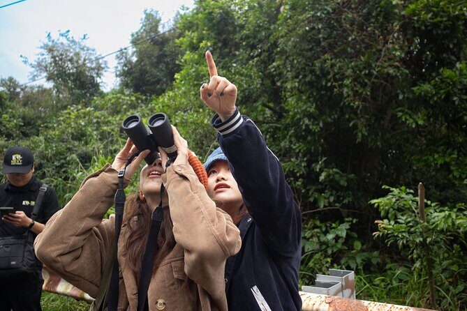 Red-shanked Douc - Private Motorbike Tour - The Itinerary: A Closer Look