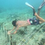 Reef Rehabilitation Course and Snorkeling - FAQs