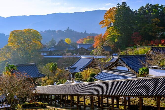 Relaxed Nara tour from Kyoto Hasedera and Muroji Temples - Who Should Consider This Tour?