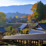 Relaxed Nara Tour from Osaka: Hasedera and Muroji Temples - Authentic Experiences and Practical Tips