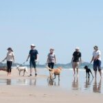 Rescue P.A.W.S. Day Visit - Detailed Itinerary Breakdown