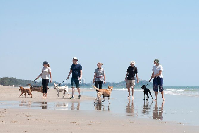 Rescue P.A.W.S. Day Visit - Detailed Itinerary Breakdown