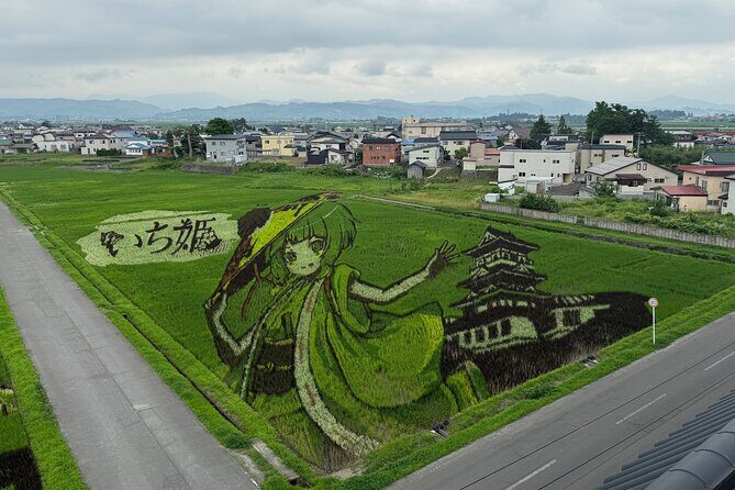 Rice Paddy Art and Apple Picking Full day Private Tour - Exploring Aomori’s Hidden Gems with Your Private Guide
