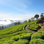 Ride Sri Lanka: Discover the Ancient Kingdom 12 Day Tour - The Sum Up