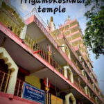 Rishikesh Guided Walking Tour: Laxman Jhula, Ganga Aarti - The Value of This Tour