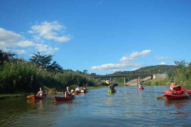 River Kayaking in Chiang Dao Jungle From Chiang Mai - Who Should Consider This Tour?