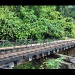 River kwai & Kanchanaburi Day Tour From Bangkok - Who Should Consider This Tour?