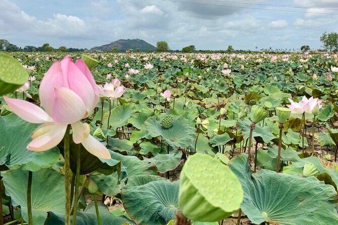 Rural Countryside Experience Tour in Siem Reap - Final Thoughts: Who Will Love This?