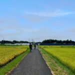 Rural Japan cycling tour to the rich nature area in Ichinomiya - What’s Included and What to Consider
