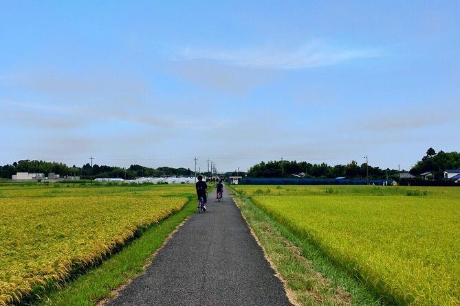 Rural Japan cycling tour to the rich nature area in Ichinomiya - What’s Included and What to Consider