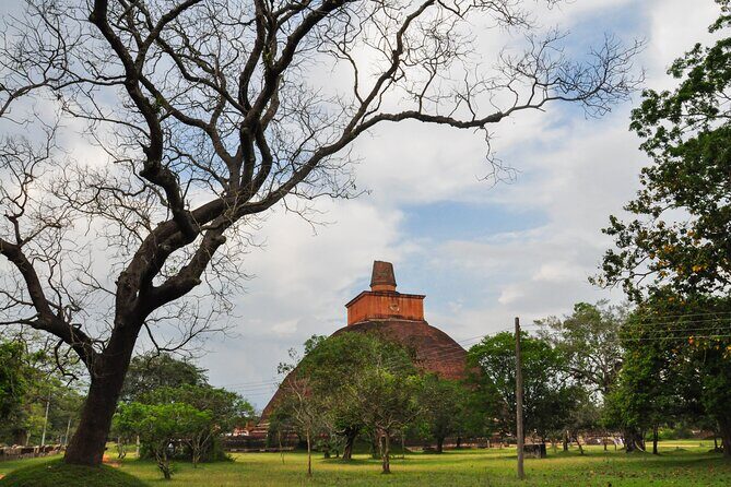 Sacred City of Anuradhapura from Sigiriya - Who Will Love This Tour?