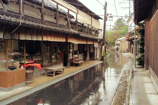 Sacred Mount Yoshino Guided Tour UNESCO Kii Mountain Range - Who Will Love This Tour?