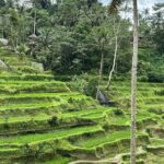 Sacred Spring Experience - Ubud Tour - Frequently Asked Questions
