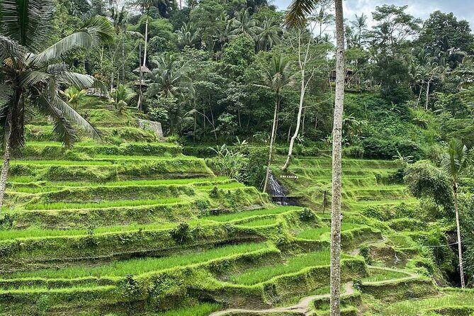 Sacred Spring Experience - Ubud Tour - Frequently Asked Questions