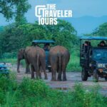 Safari Jeep Tour In Udawalawa Park Sri Lanka - Experience and Highlights in Detail
