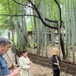 Saitama Wellness for Takedera Zen Meditation and Hot Spring - Exploring the Journey: From Spirituality to Serenity