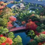 Sakaiminato Private Tour for Shore Excursion - Final Thoughts