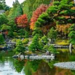 Sakaiminato Private Vehicle Service with Restaurant Reservation - Practical Details & Tips