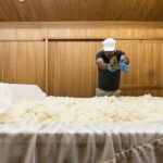 Sake Brewery Tour, Sake Cuisine and Pairing Experience - Exploring the Tour in Detail: What You Can Expect