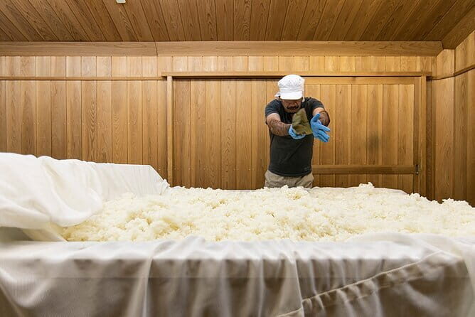 Sake Brewery Tour, Sake Cuisine and Pairing Experience - Exploring the Tour in Detail: What You Can Expect