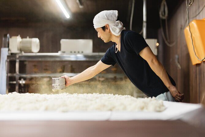 Sake Heritage Nagoya Brewers Insights and Tastings tour - Summing It Up: Who Will Love This Tour?